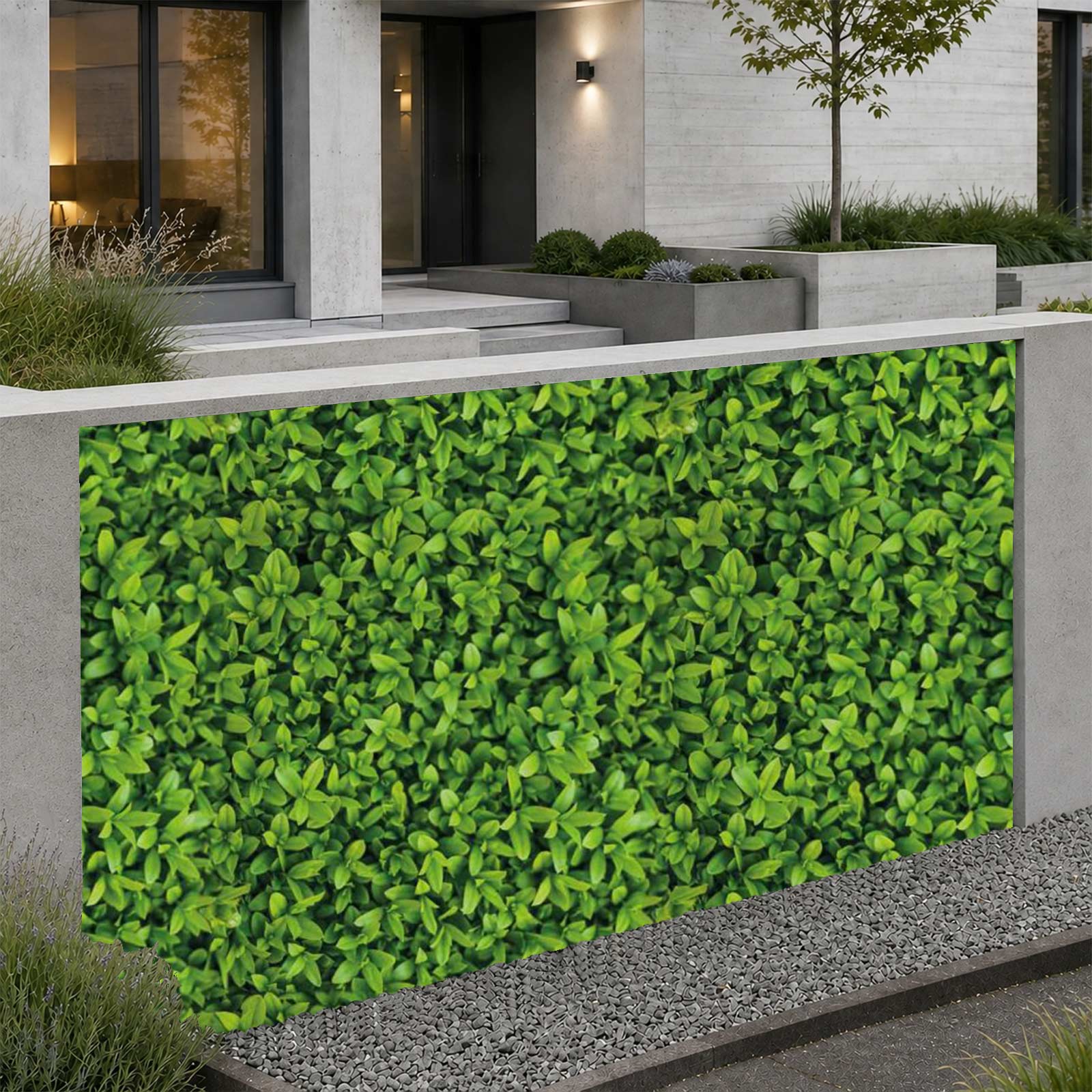 M-tec print® Planen Poster |  Buchsbaum 