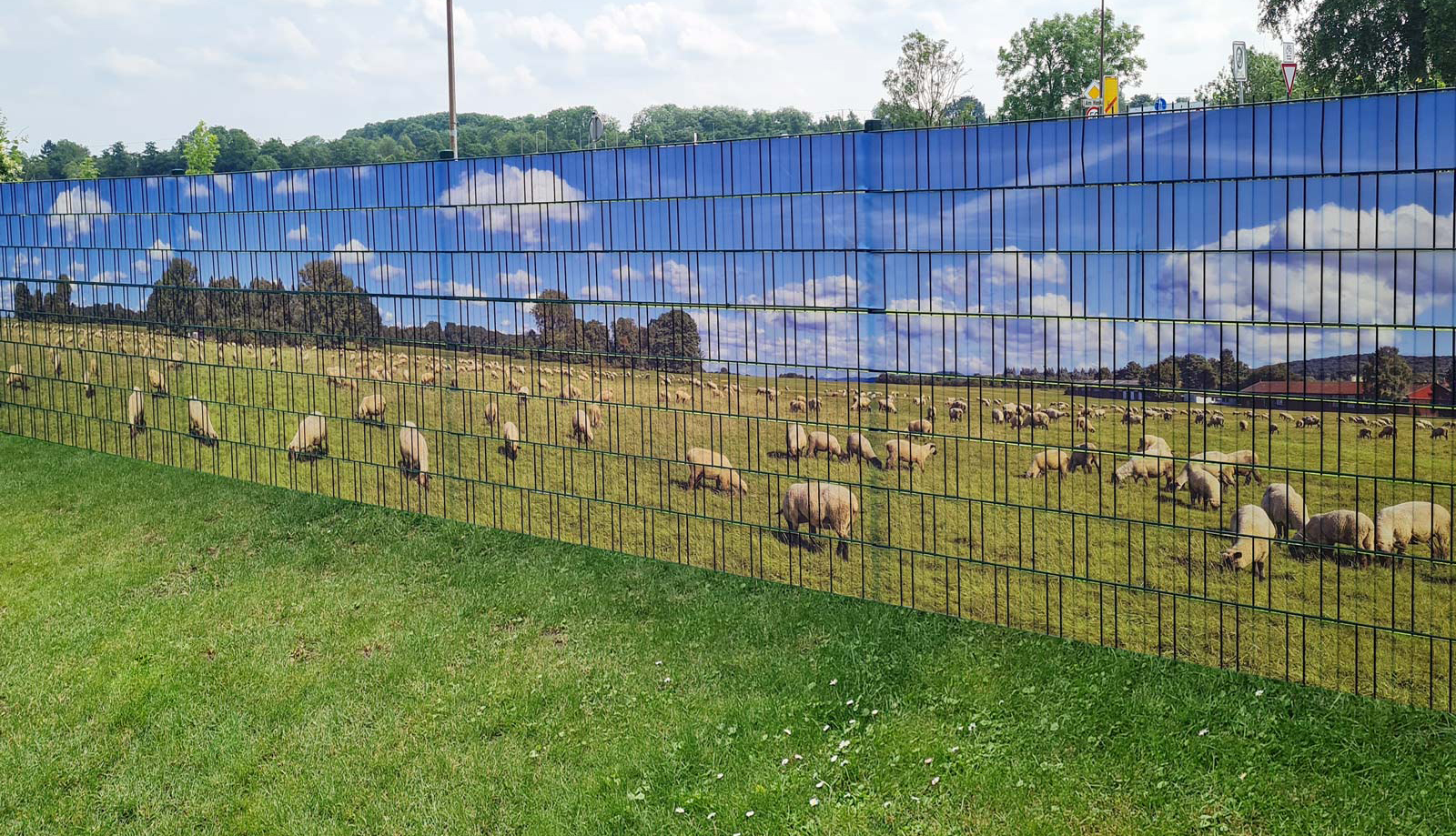 Zaunpanorama Poster - Schafe Zaunpanorama Poster - Schafe