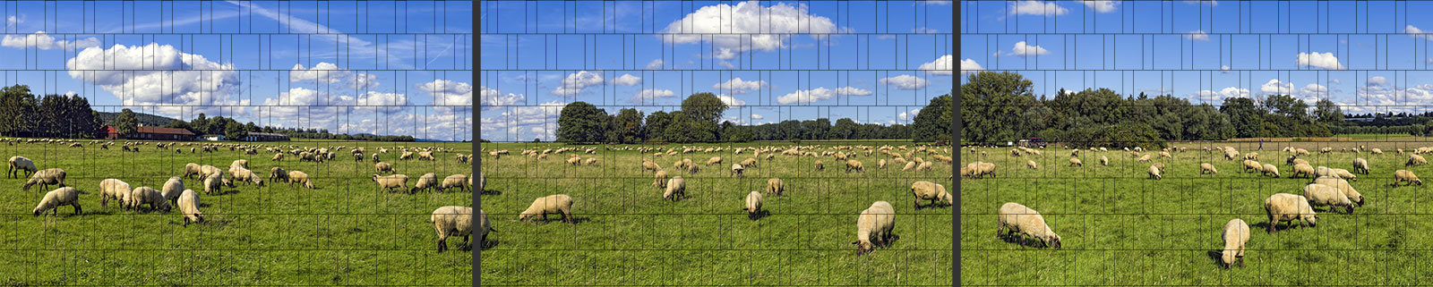 Sonderaktion XXL Panorama Zaundruck
