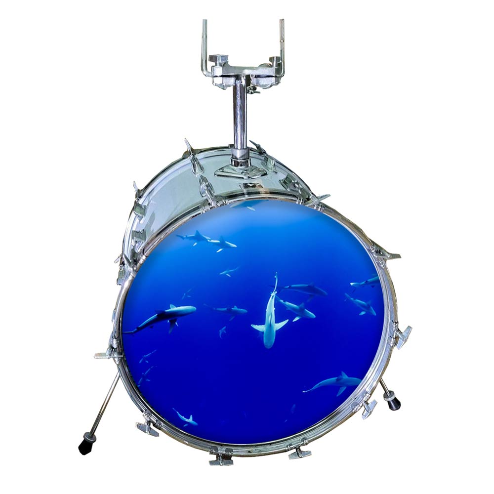 Bass Drum Fell bedruckt | Deep Sea