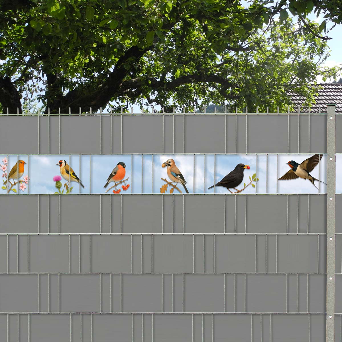 M-tec Kreativstreifen Bunter Vogelmix