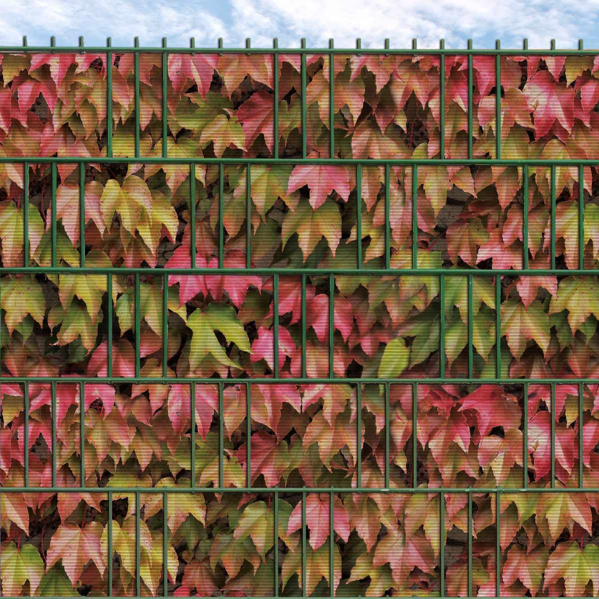 M-tec print® Hart-PVC 6mm Rille - Herbstweinhecke