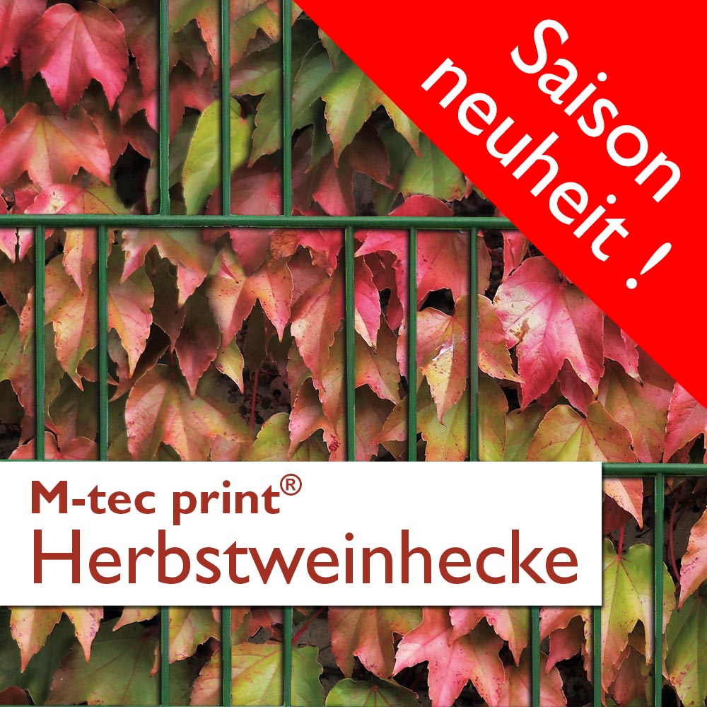 M-tec print® Weich PVC - Herbstweinhecke