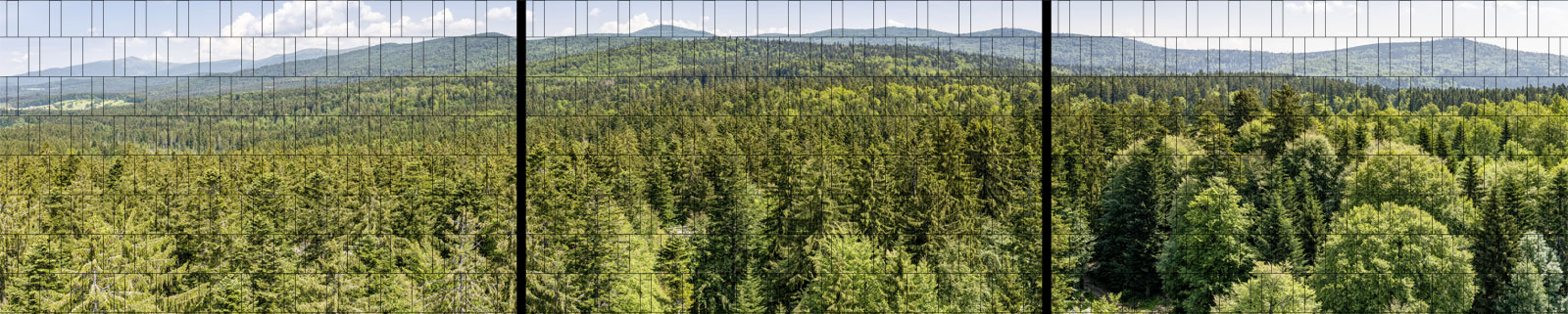 Sonderaktion XXL Panorama Zaundruck