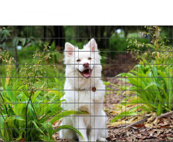 Hundewelpe - Bedruckter Zaun-Sichtschutz