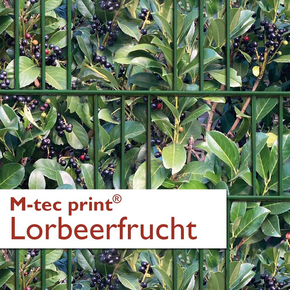 "M-tec print®" Weich-PVC - Lorbeerfrucht