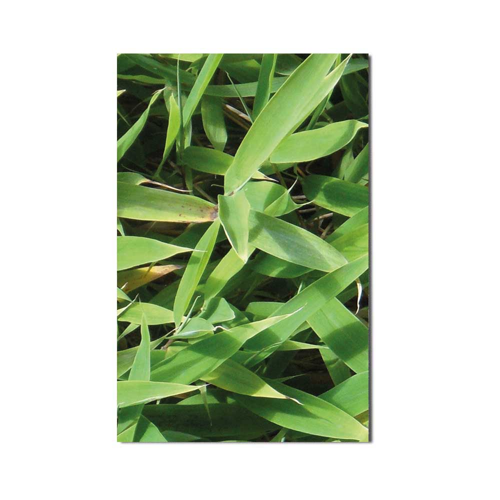 Hart-PVC-Bambushecke