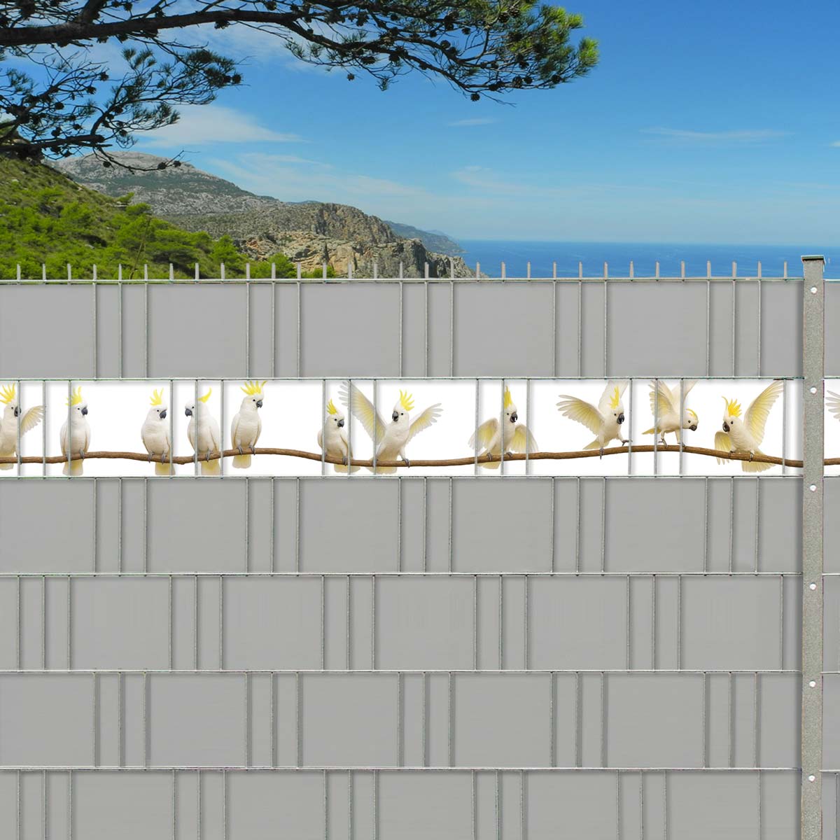 M-tec Kreativstreifen - Wild Kakadus