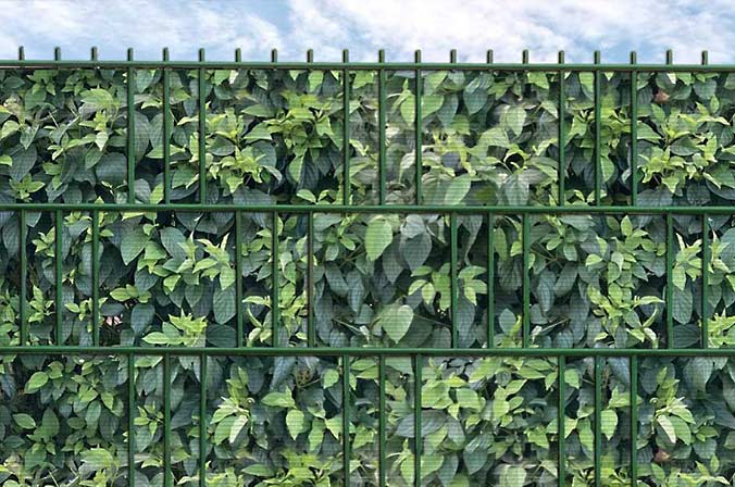 hartriegel_print_streifen