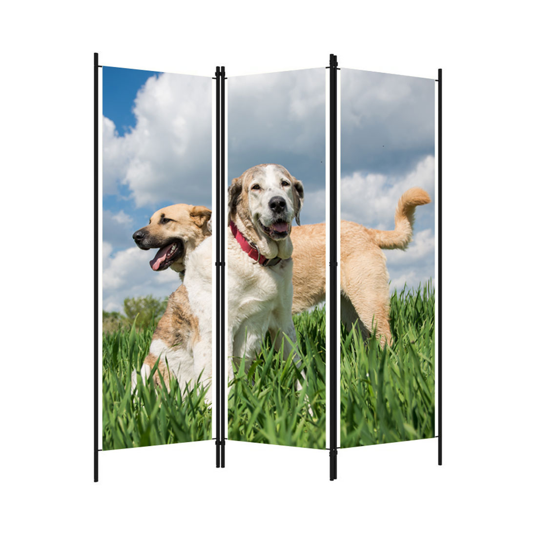 M-tec print® Foto-Paravent Motiv Hunde