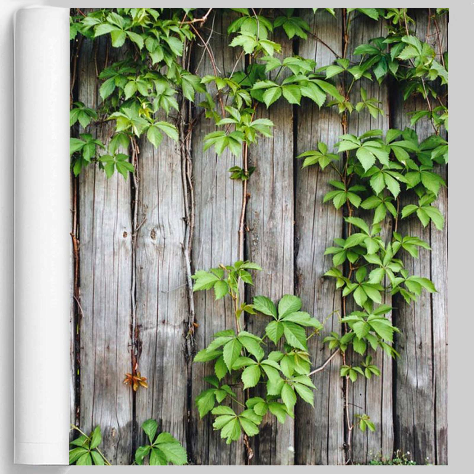 M-tec print® Planen Poster |  Woody