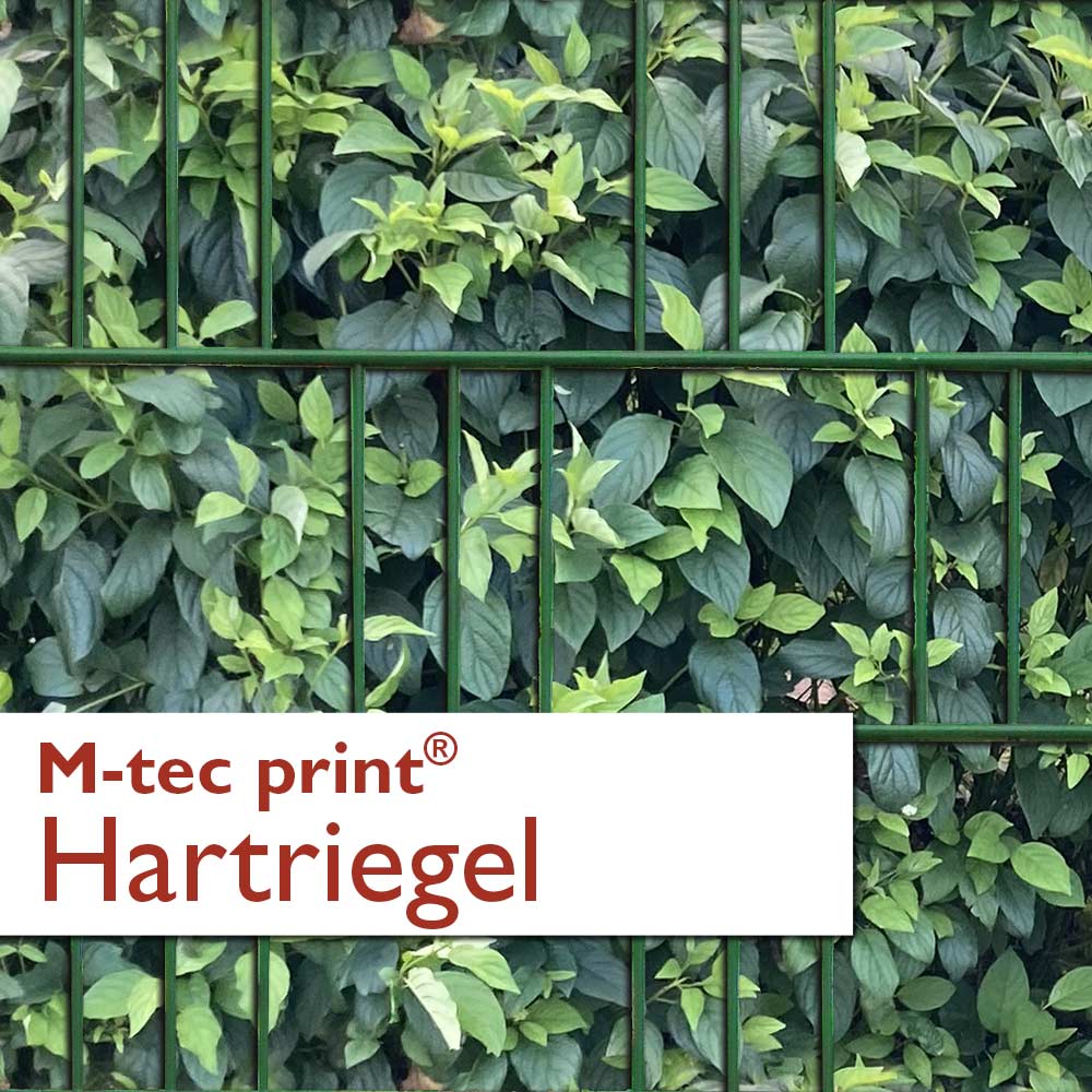 "M-tec print®" Zaunstreifen Hartriegel "M-tec print®" Zaunstreifen Hartriegel
