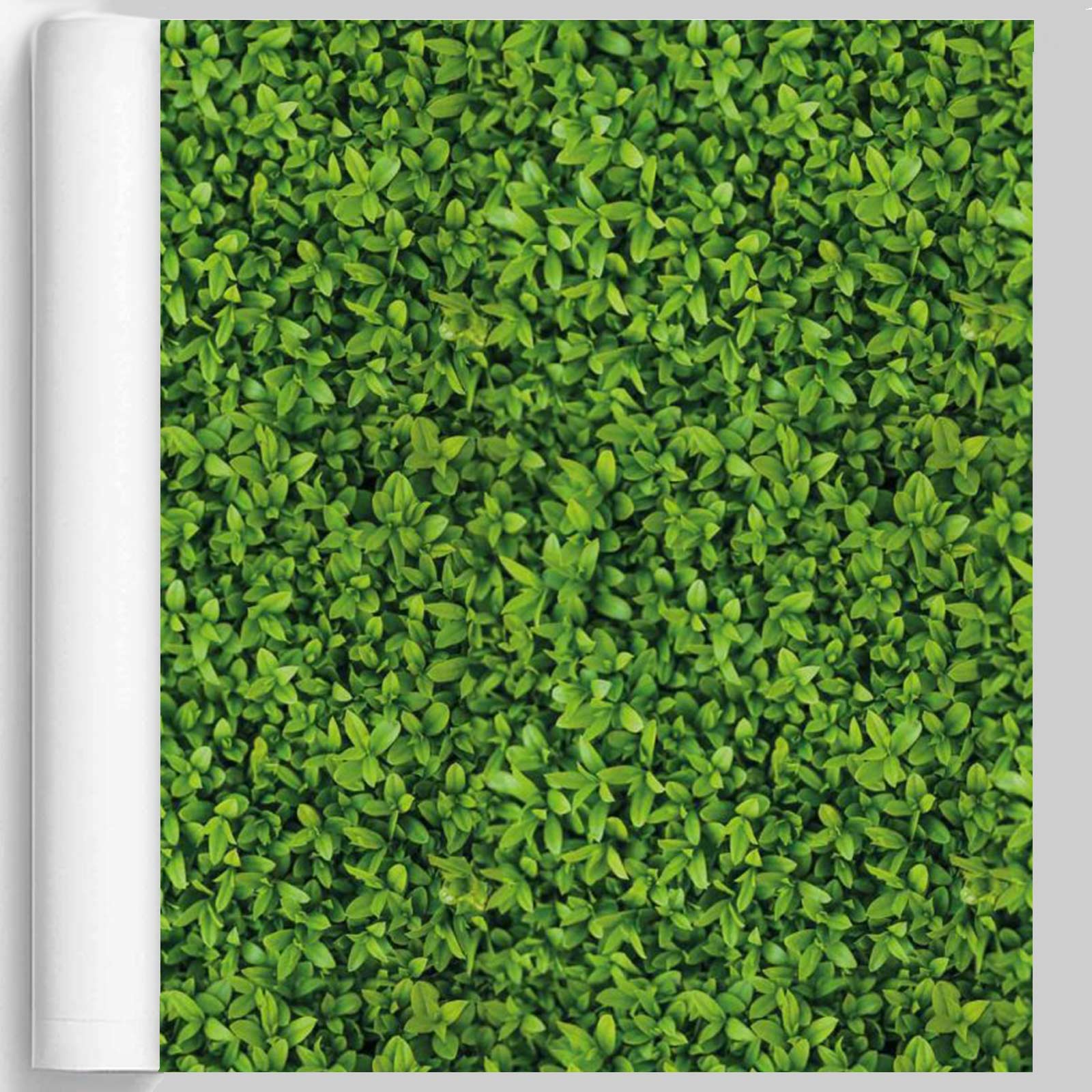 M-tec print® Planen Poster |  Buchsbaum 