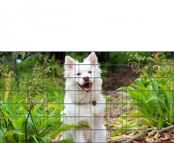 Hundewelpe - Bedruckter Zaun-Sichtschutz