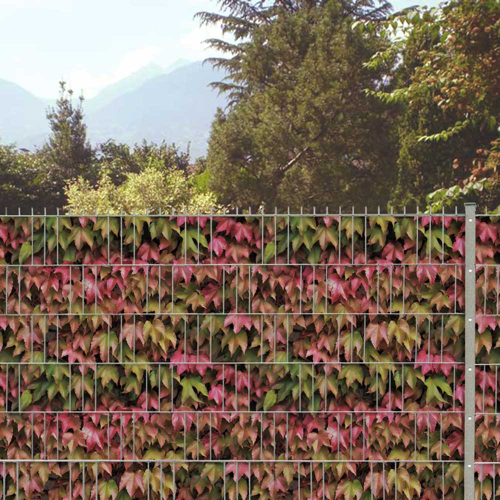 M-tec print® Weich PVC - Herbstweinhecke