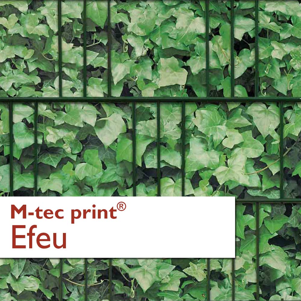 "M-tec print®" Zaunblenden Efeu Hecke